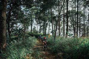 BIB: 
                            <button type="button" onclick="openModal(25657760)" class="btn btn-primary btn-sm float-right btn-popup" data-toggle="modal" data-target=".modal-high-quality">
                        <i class="fas fa-shopping-cart"></i> Add to Cart
                    </button>
                                            <button type="button" onclick="isThisMe(25657760, true)" class="btn btn-success btn-sm float-right btn-popup btn-isme hidden" data-toggle="tooltip" data-placement="bottom" title="นี่คือรูปของคุณใช่ไหม คลิกที่นี่เพื่อเอาเข้าอัลบั้ม">
                        <i class="fas fa-plus"></i> Add to album
                    </button>
                    <button type="button" onclick="isThisMe(25657760, false)" class="btn btn-warning btn-sm float-right btn-popup btn-isnotme hidden">
                        <i class="fas fa-ban"></i> Remove from album
                    </button>